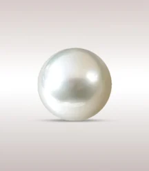 Sea Pearl