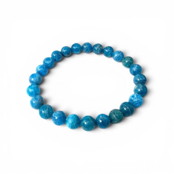 Blue Appetite Bracelet Blue Appetite Bracelet