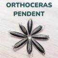 Orthoceras fossil Pendent-01