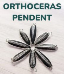Orthoceras fossil Pendent-01