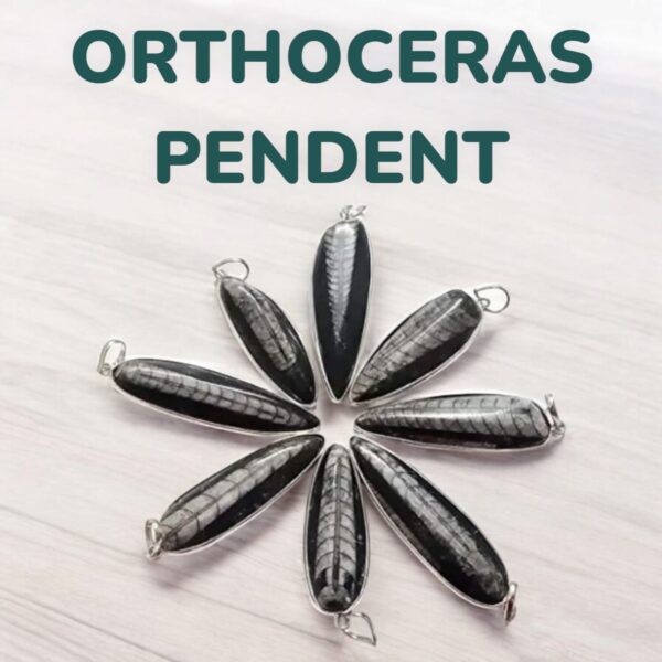 Orthoceras fossil Pendent-01 Orthoceras fossil Pendent-01