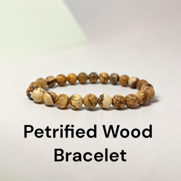 Petrified Wood Bracelet
