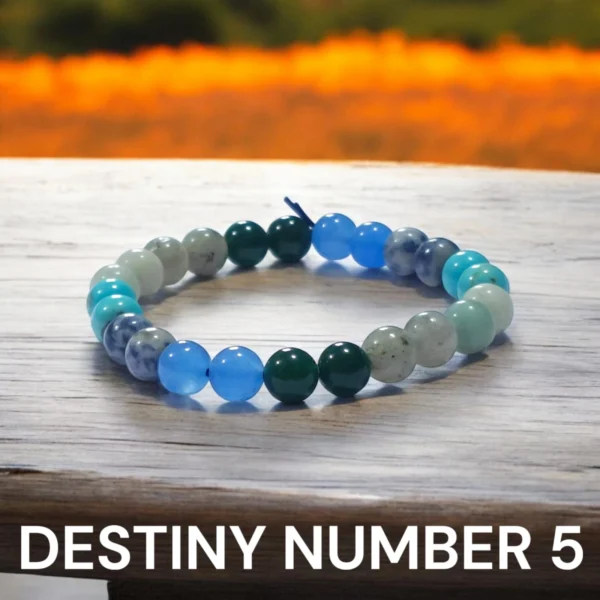 destiny-number-5-bracelet-01 destiny-number-5-bracelet-01