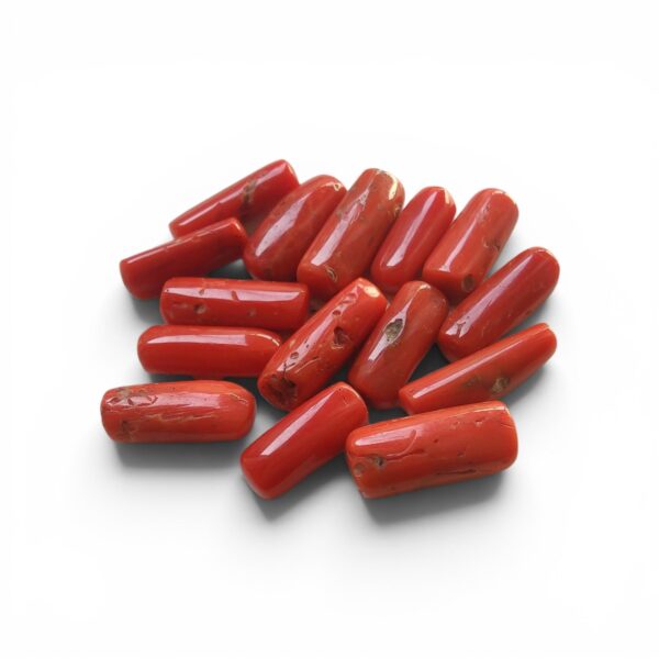 red-coral-moonga red-coral-moonga